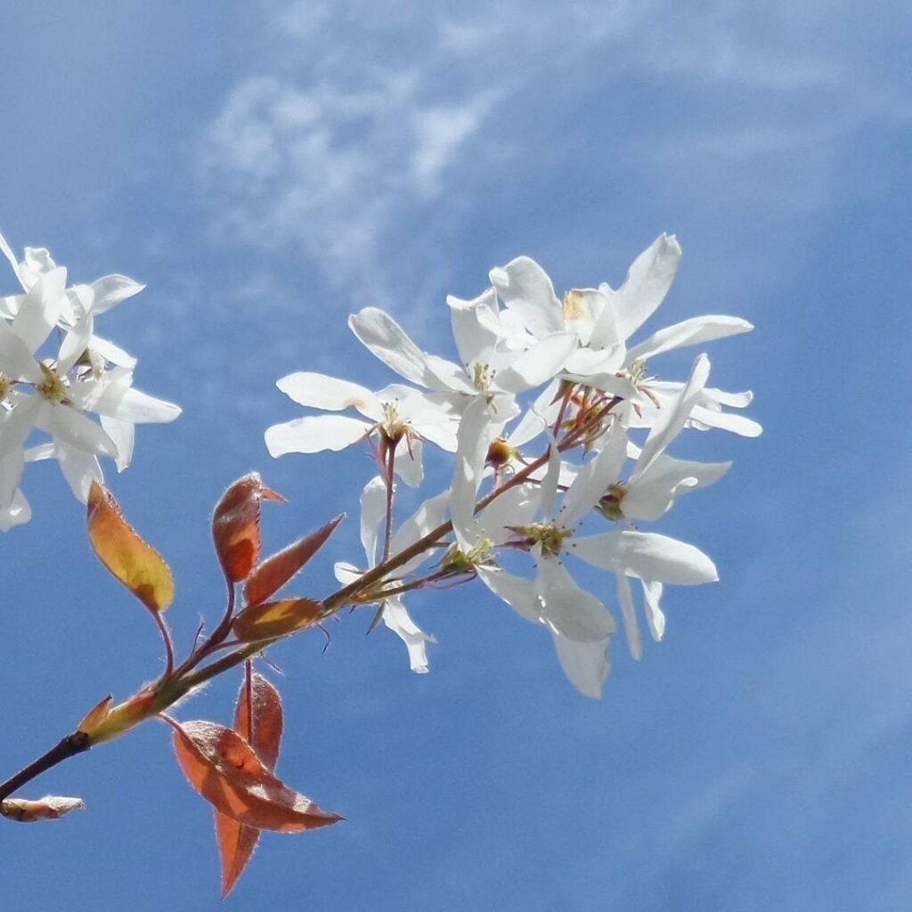 #Spring