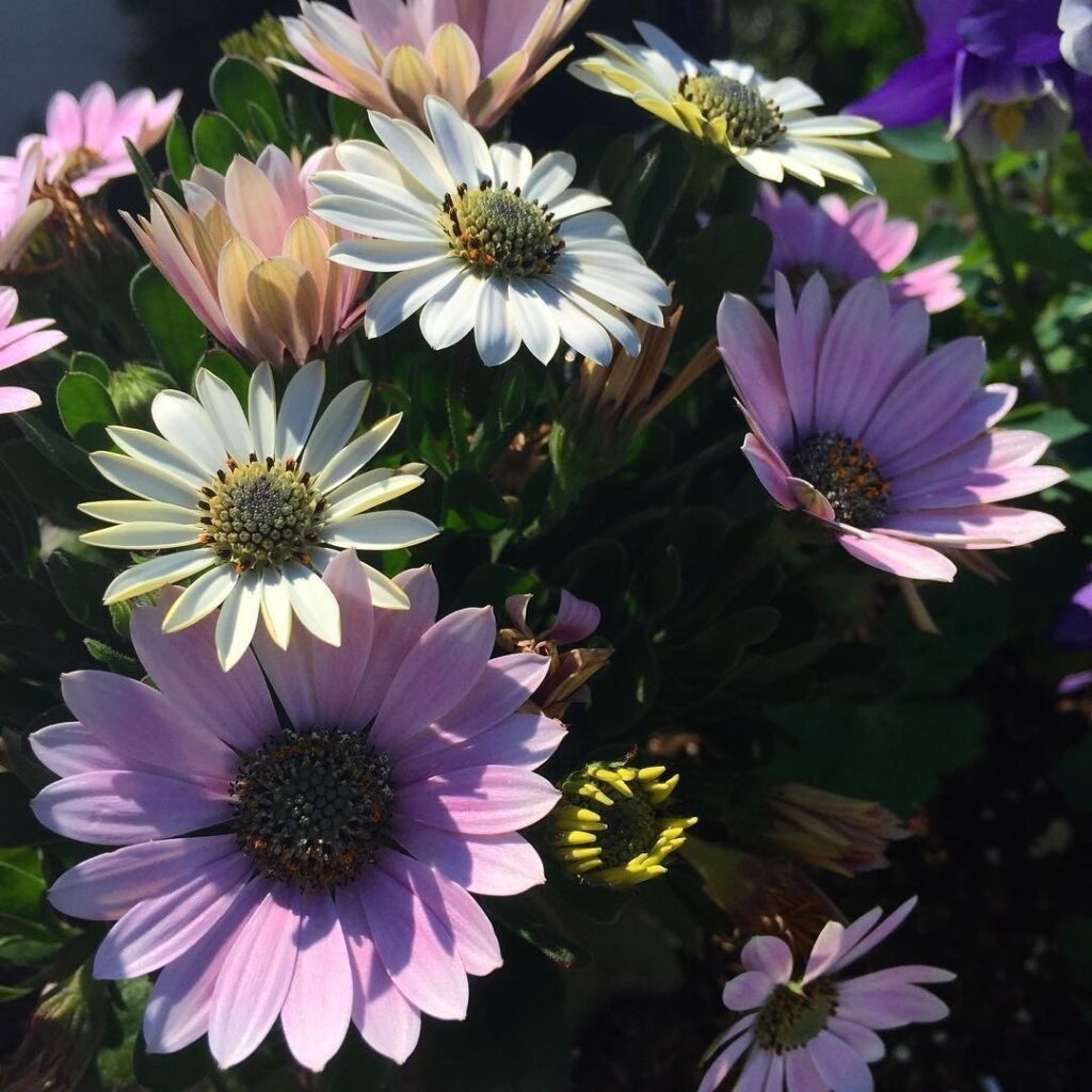 Finally #Spring has arrived in