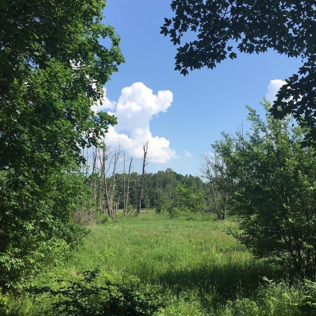 A stroll in my neighborhood. #tegelerfliess