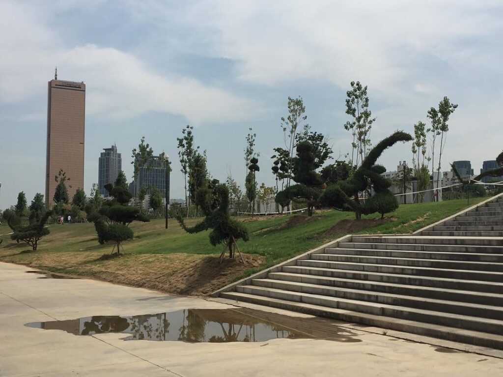 On the river banks of Han River #seoul🇰🇷
