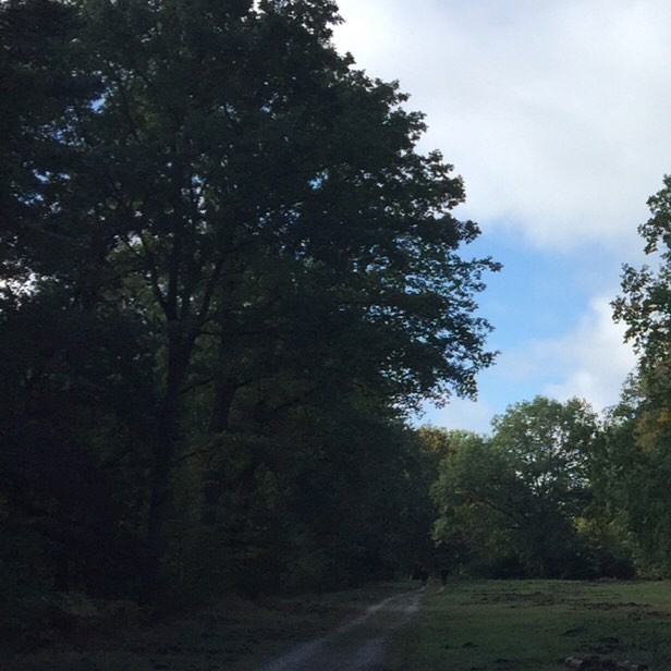 Autumn in Berlin.