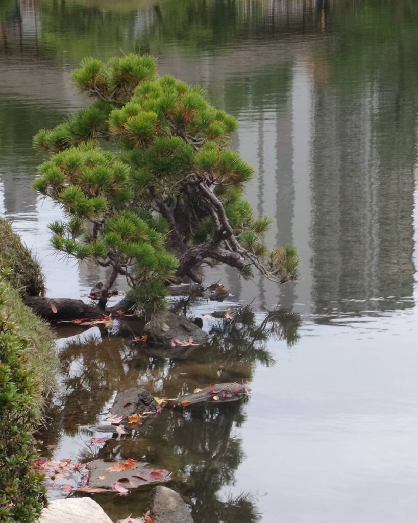 #ShukkeienGarden