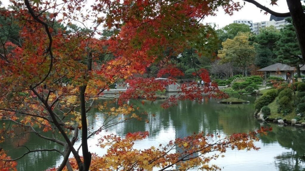 Beautiful autumn colors at #ShukkeienGarden