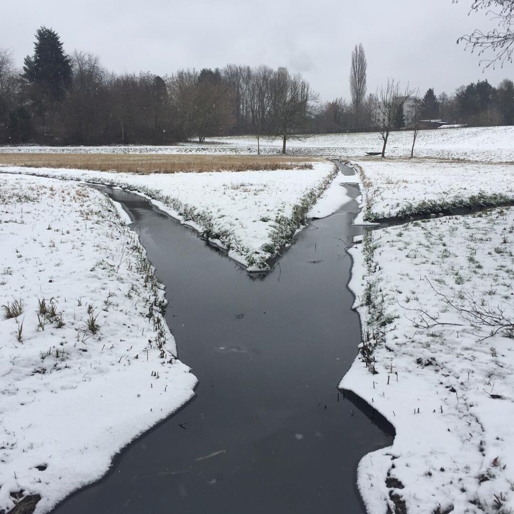 This path or that path? Or should I ask this ear or that ear? Winter in #Berlin 😺😼