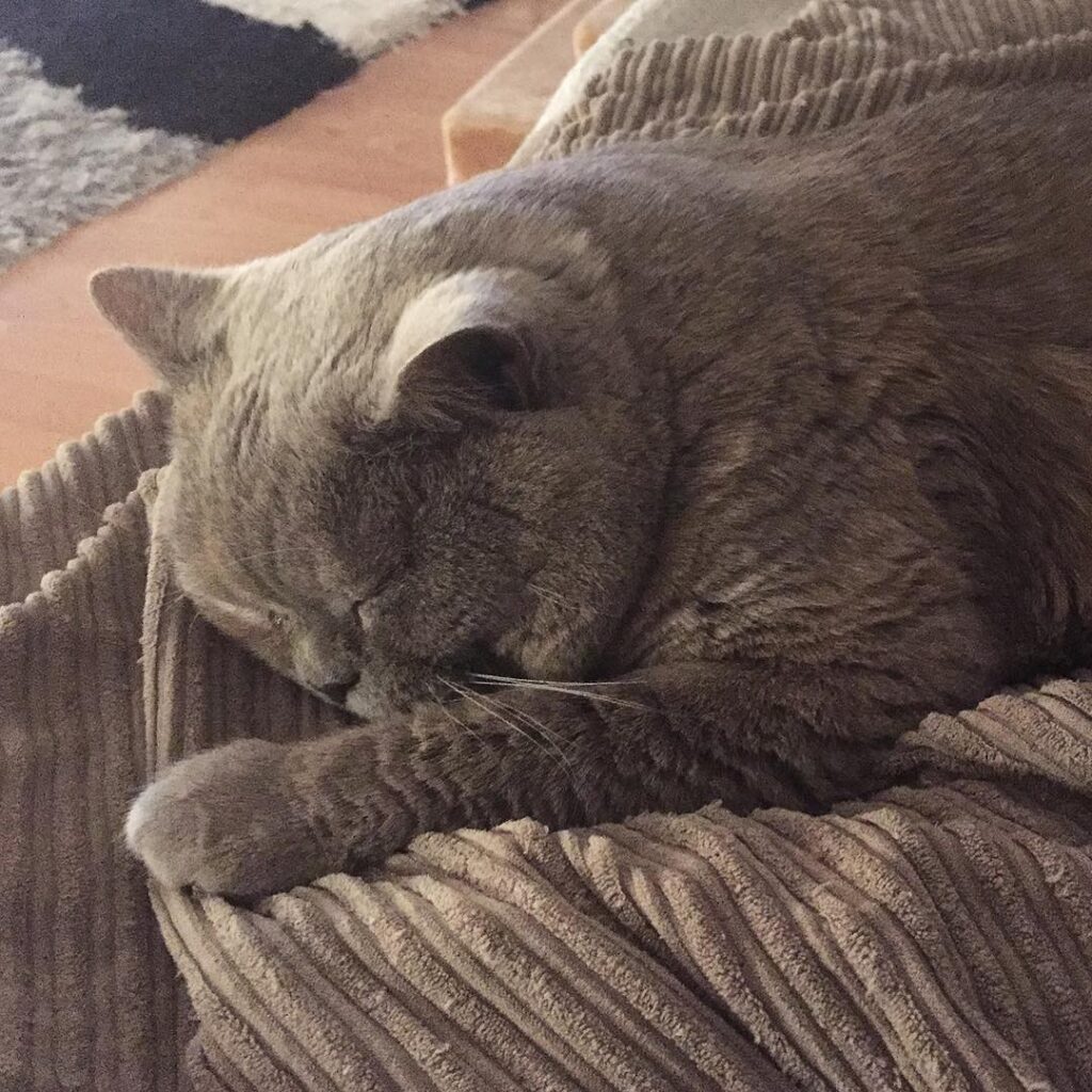 My beloved teddy bear #😺