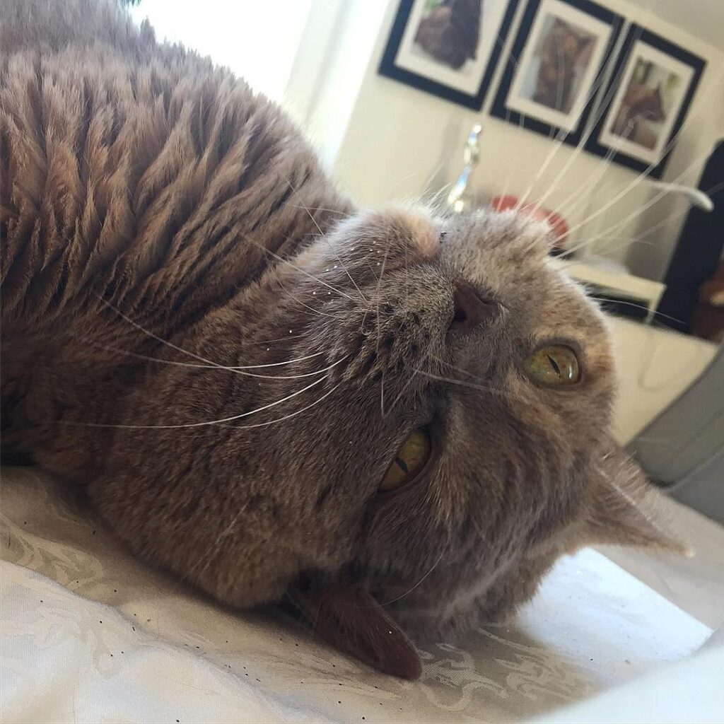 My beloved teddy bear #😺 #model