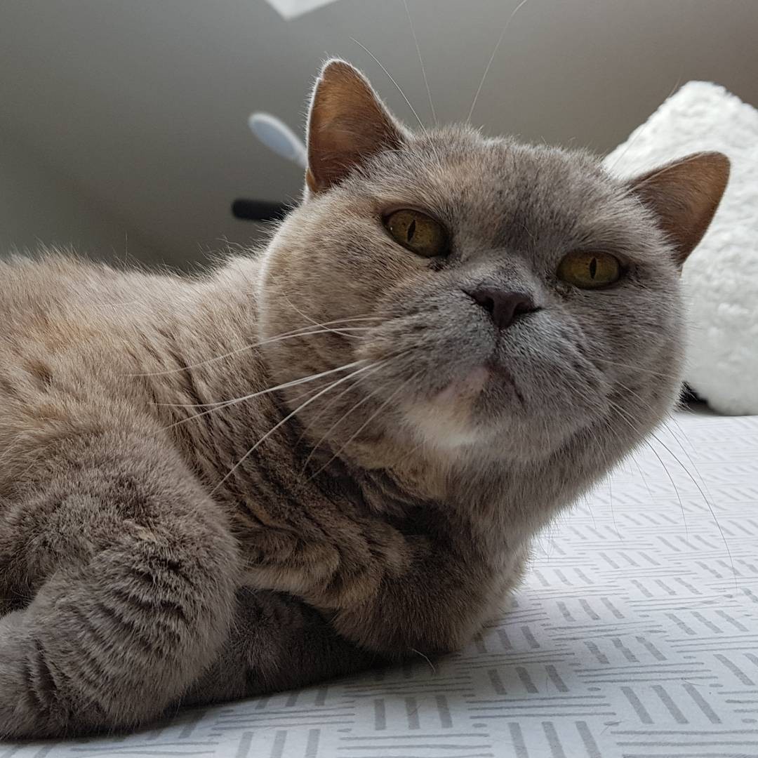 A difficult decision has to be made. I am so confused. I love you my lady…. 😢