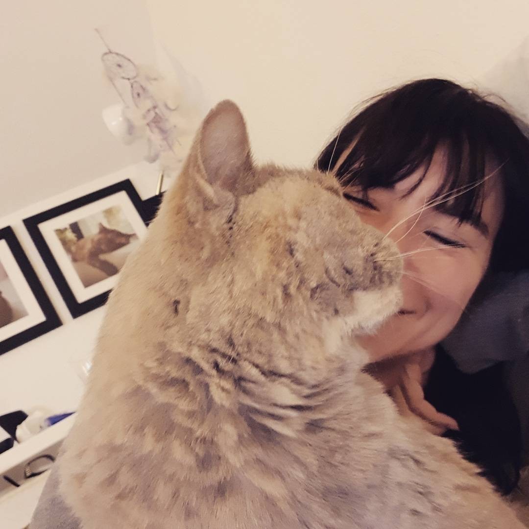Schmusen… #LoveMyCat