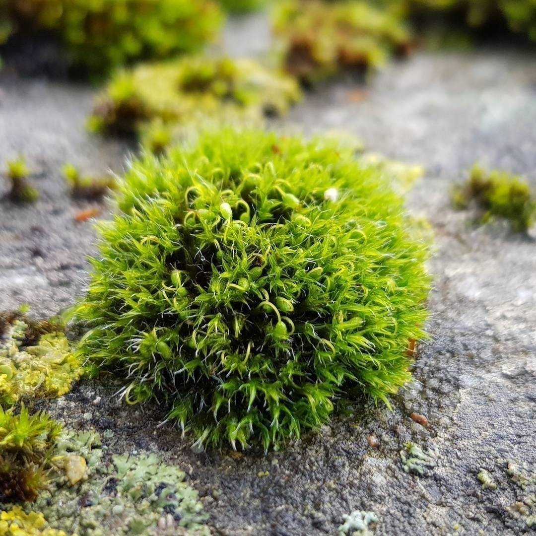 #nature