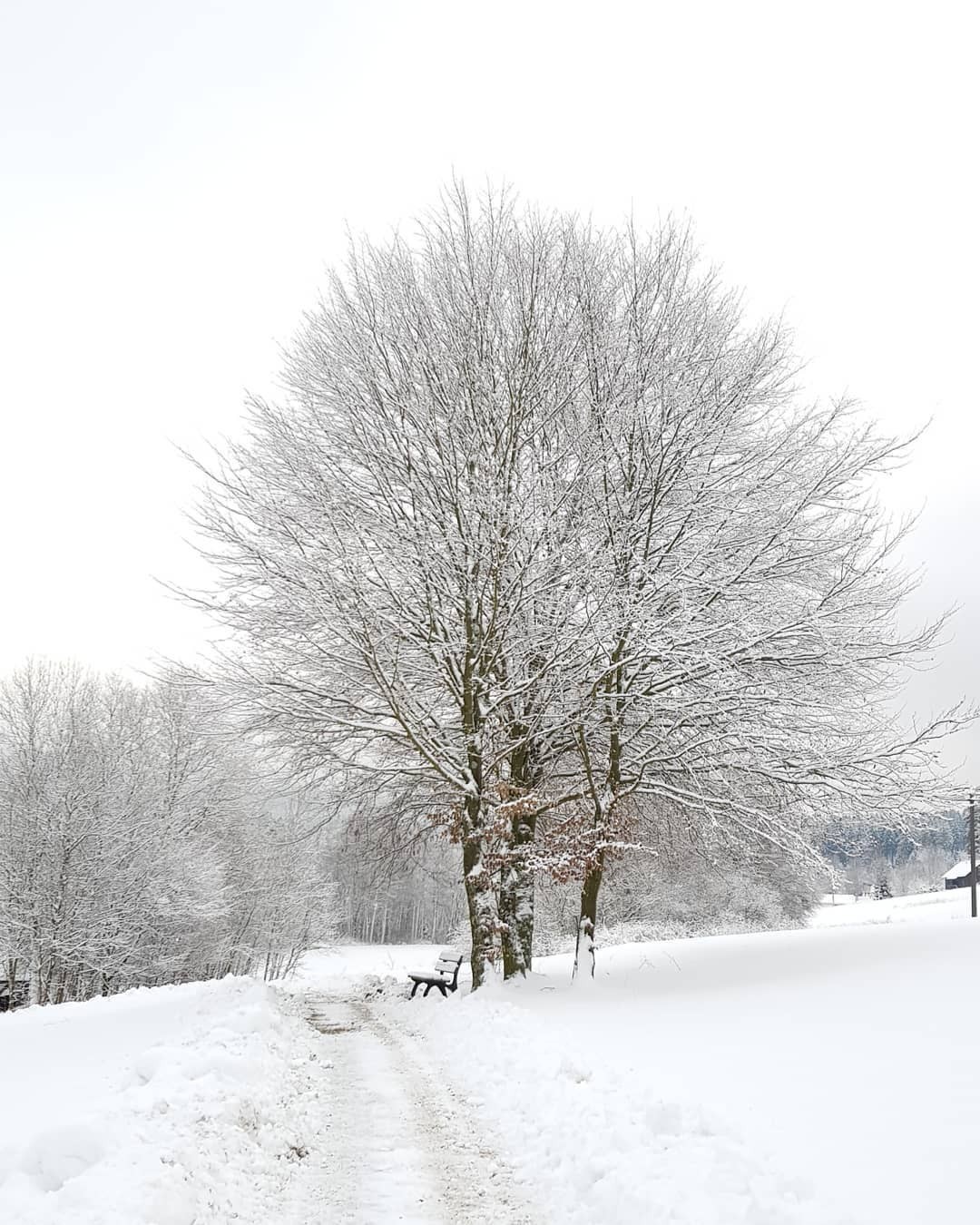 #Snow
