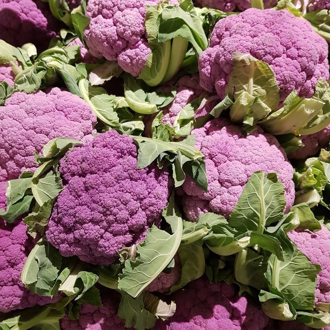 Has anyone tried #purple