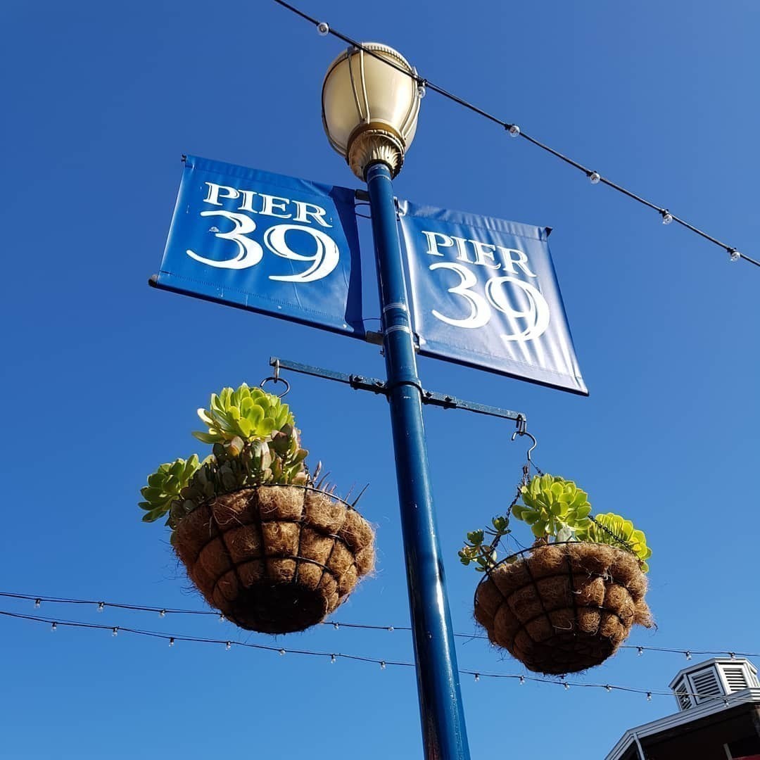 #Pier39