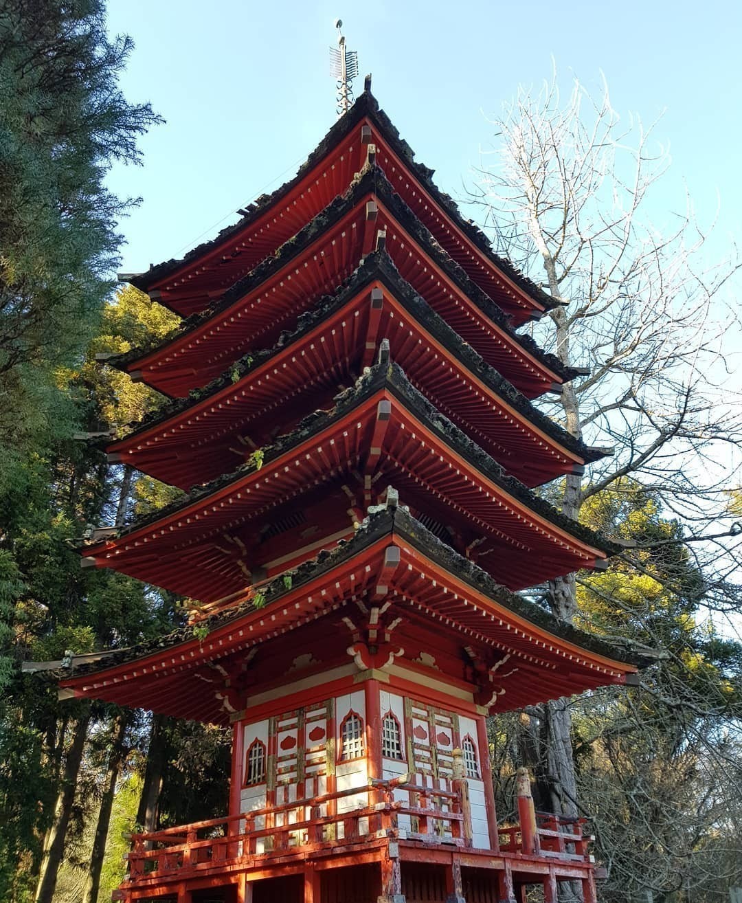 More random impressions 😁. Pagoda at Japanese Tea Garden #GoldenGatePark