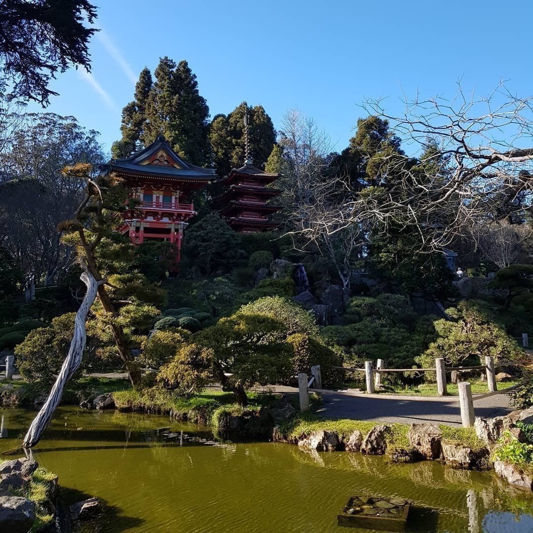 #JapaneseTeaGarden