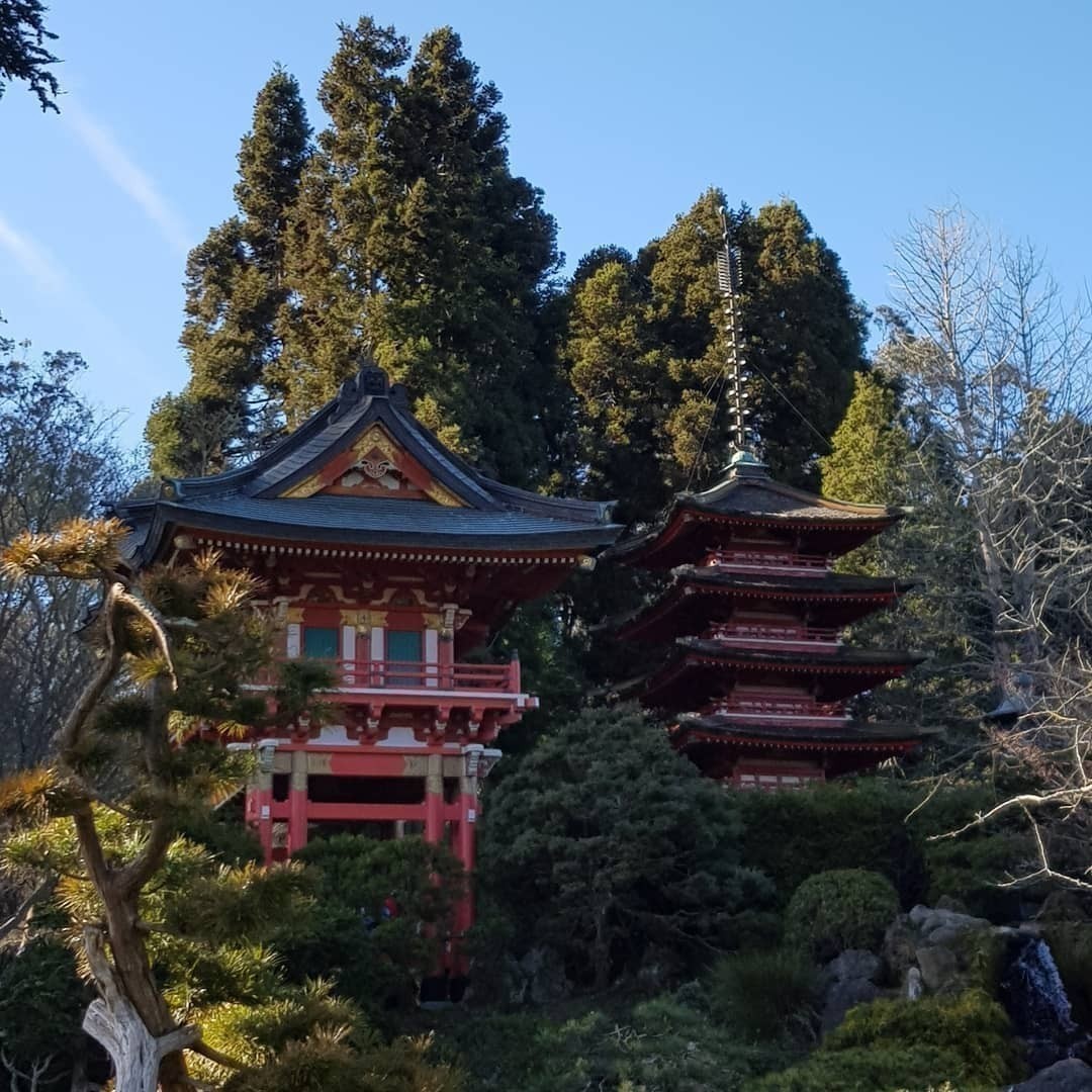 #JapaneseTeaGarden