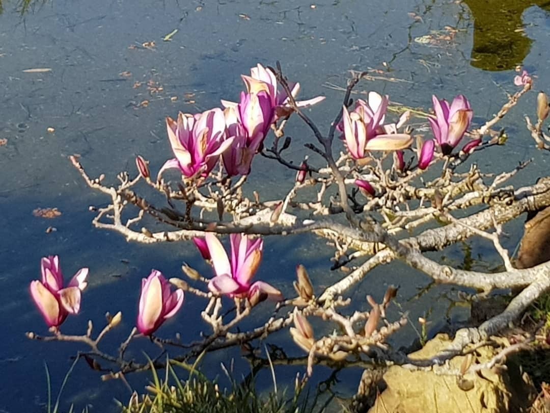 May I take the Spring back to Berlin please? 🙄