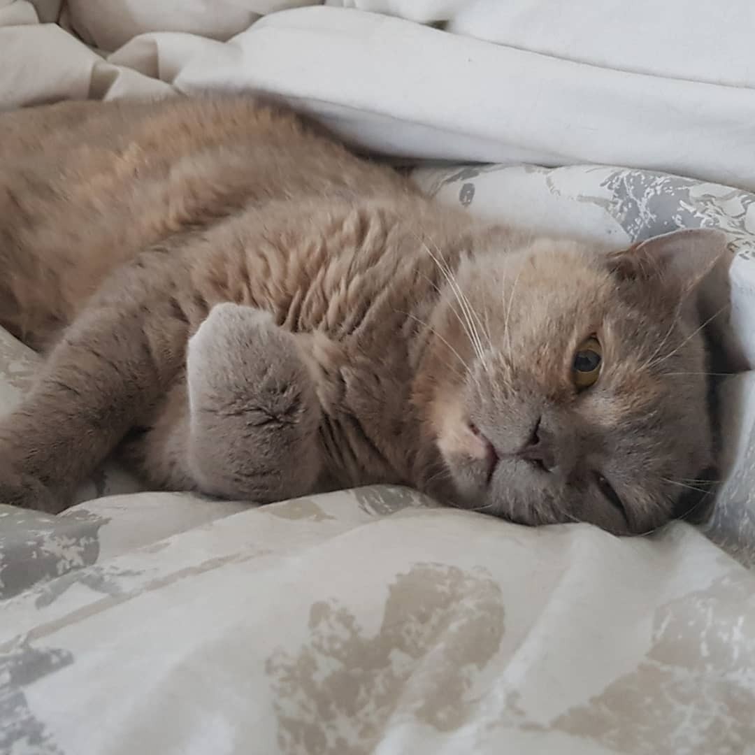 Good morning my Lady. Cleaning procedure 🙀 😁 – though I am not sure why you woke me up at 07:30 on a Saturday….