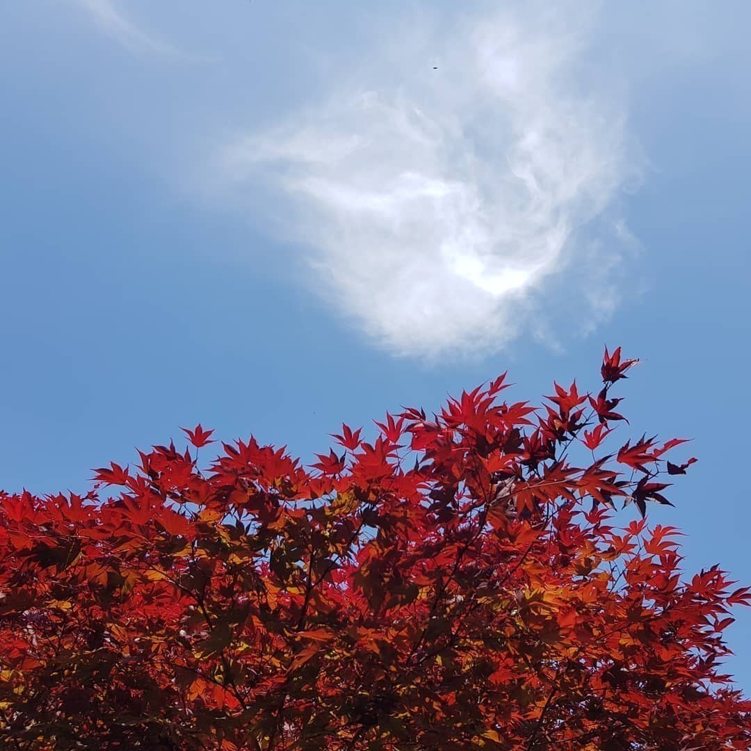 #Nature