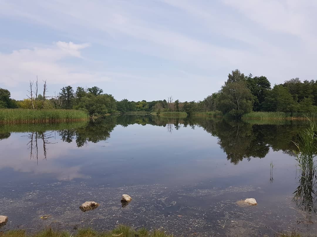 I went for a longer walk than usual and ended up at this amazing calm and beautiful lake tugged away behind a corner… The rest are photos from the path to and from this idyllic place.