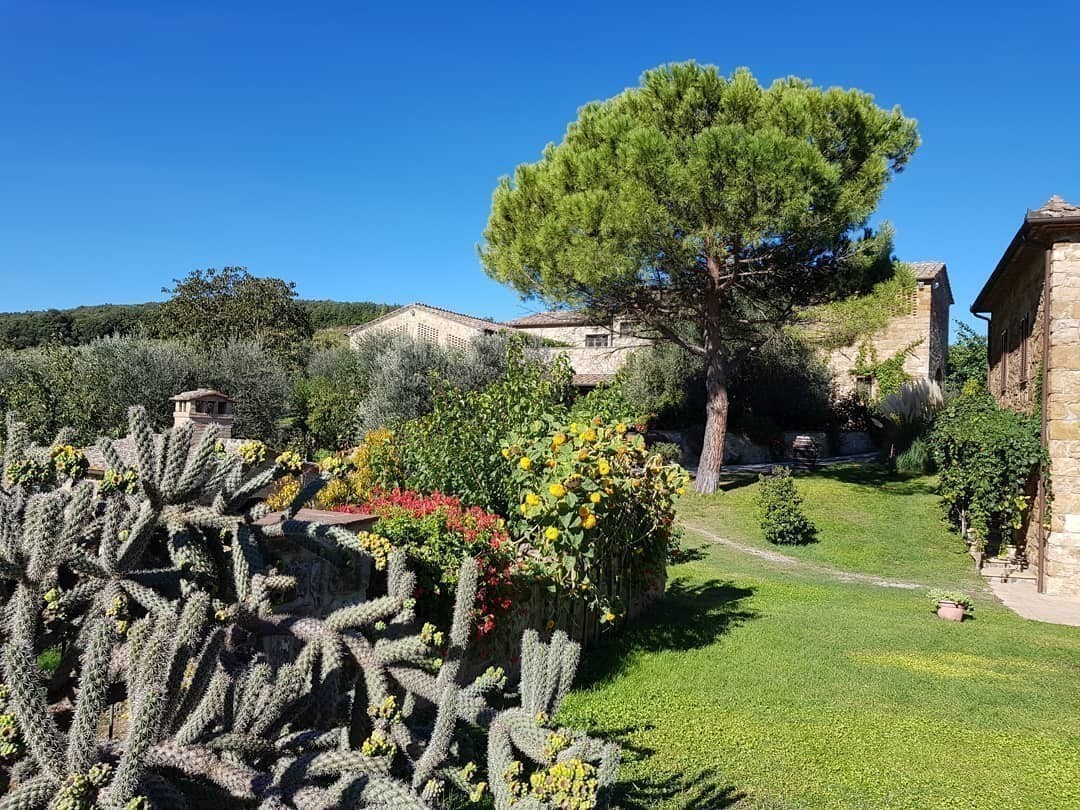 #Montalcino