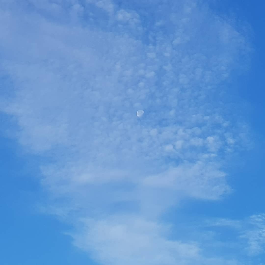 Spot the moon 🌑 Good Morning 👋 #Venice