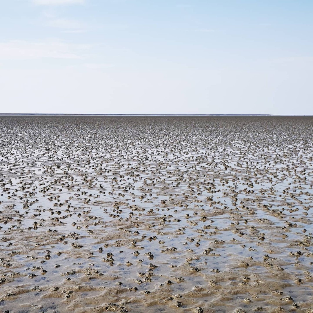 #Wattenmeer