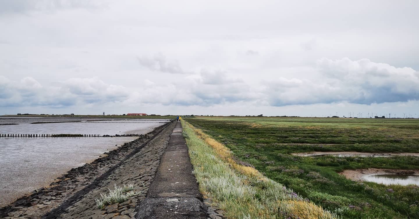 Reminiscing a bit. A week ago me and my friend visited the Wadden Sea / North Sea. It is a UNESCO Heritage Site with overall 500km of untouched nature and wilderness. The biggest still remaining in at least Middle Europe if not the whole of Europe – while