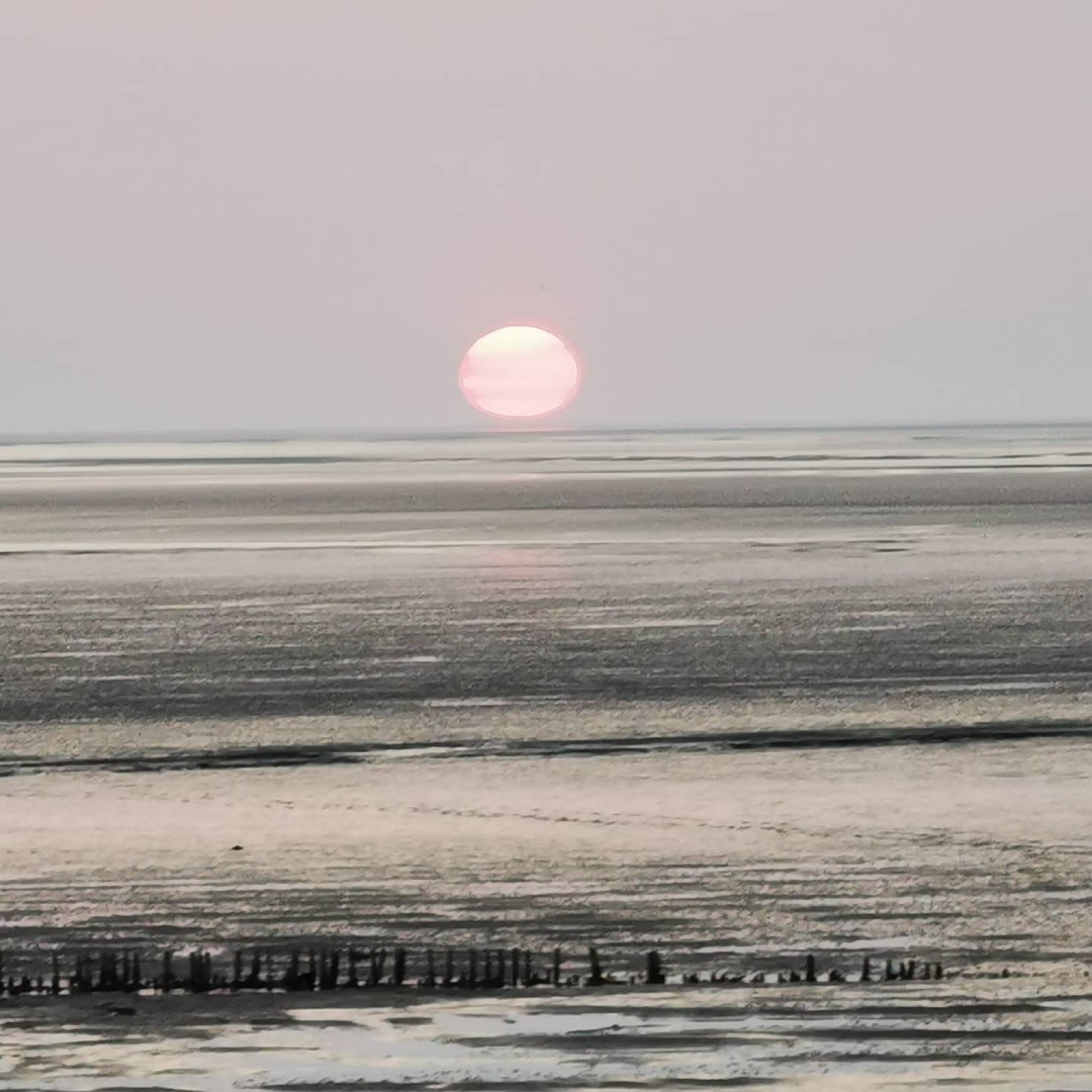 Reminiscing a bit. A week ago me and my friend visited the Wadden Sea / North Sea. It is a UNESCO Heritage Site with overall 500km of untouched nature and wilderness. The biggest still remaining in at least Middle Europe if not the whole of Europe – while