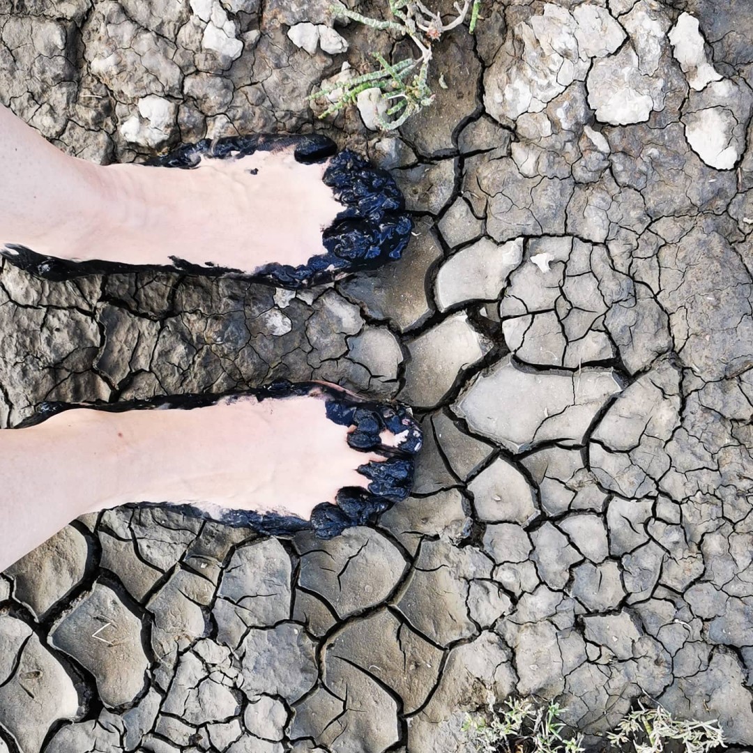 A short trip to the sea 🌊… #WaddenSea dirty feet 😁