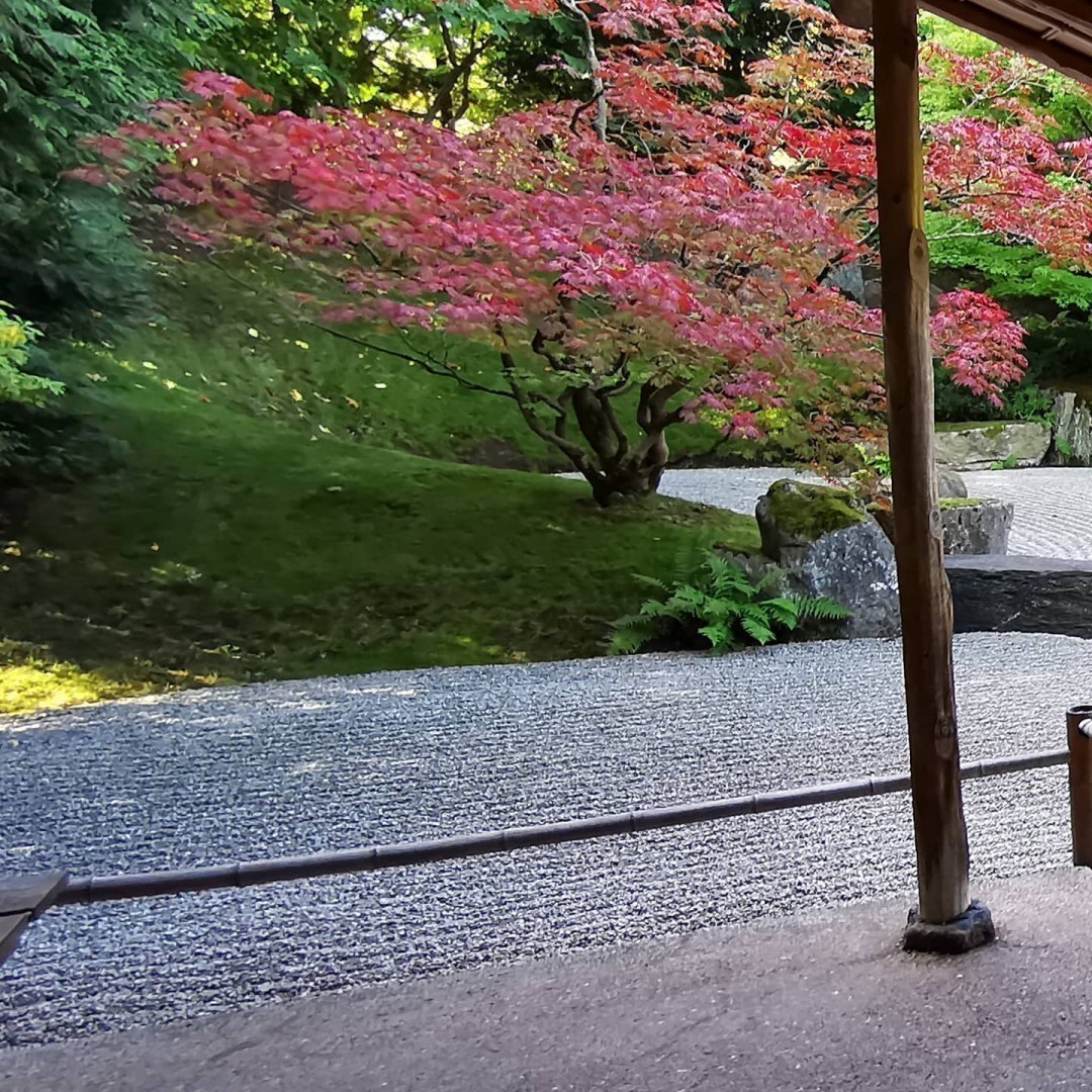 Love visiting Gardens of the World in Berlin with their variety of themed Gardens from Japan, China, Korea, Italy, England, the Orient and many more.