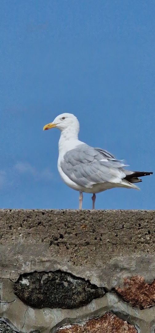 #Warnemünde