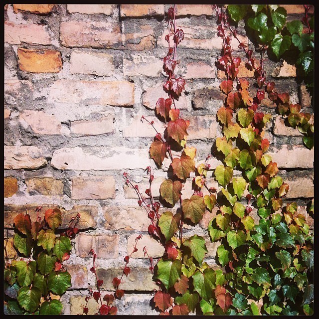 A different kind of wall in #Berlin.