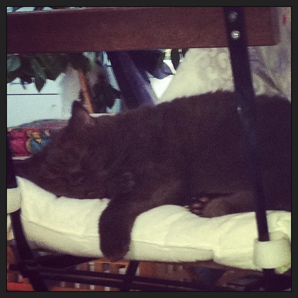 Baby sleeping…