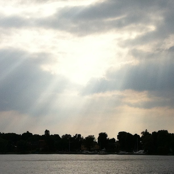 Bliss