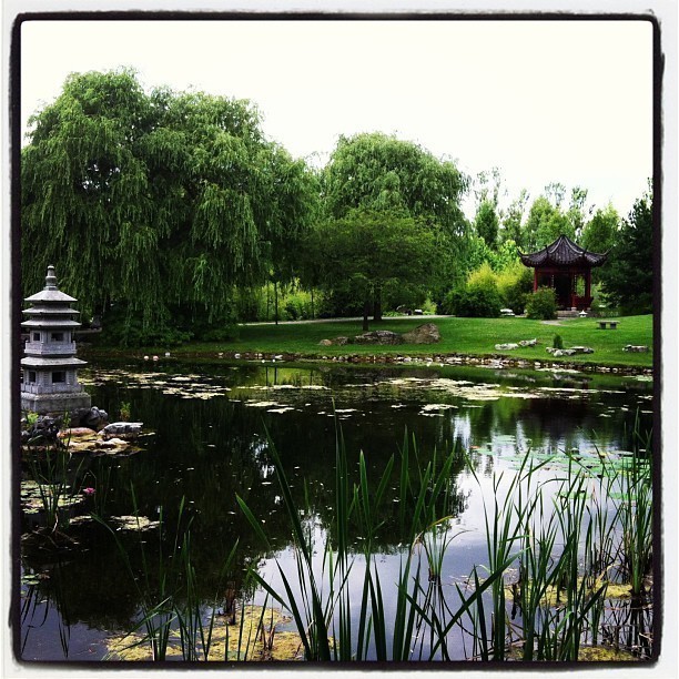 Chinese Garden