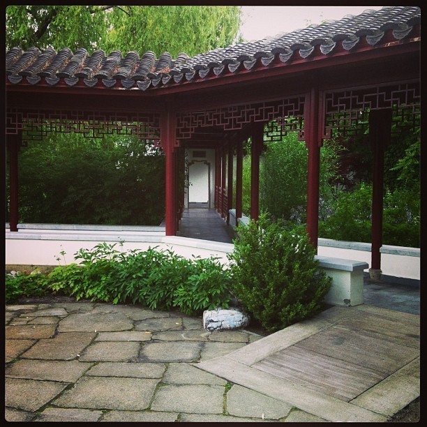 Chinese Garden