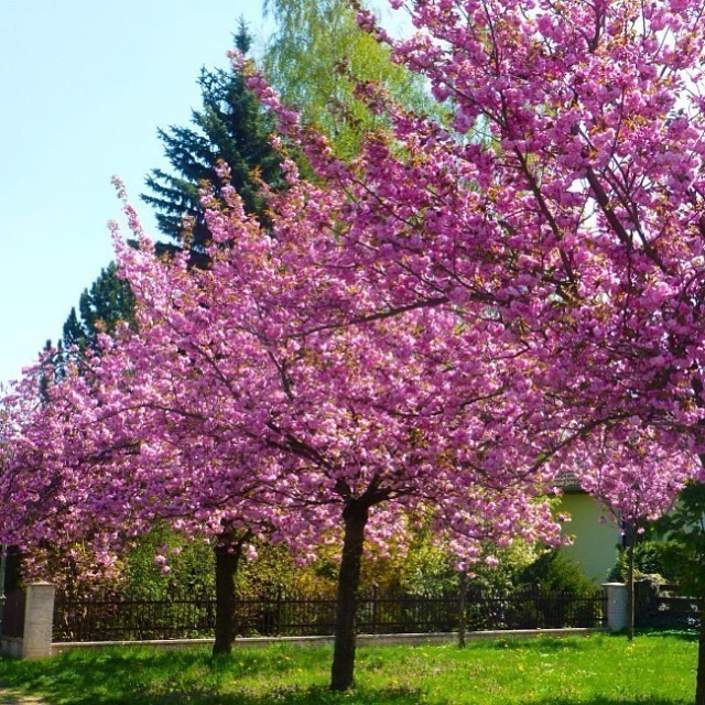 C’mon spring hurry up…