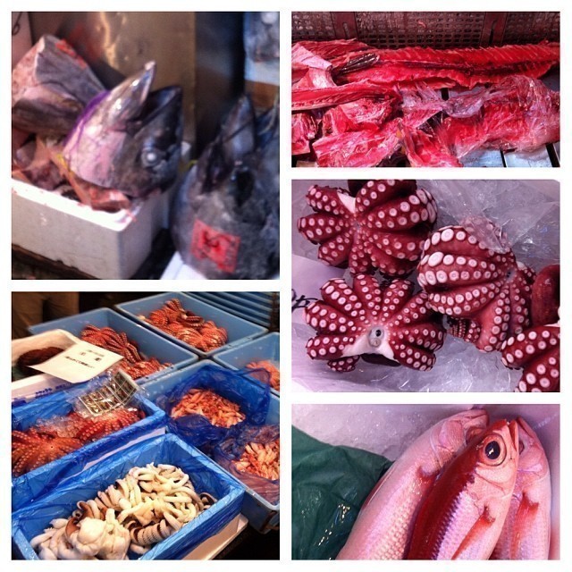 Fish market in Tokyo #tokyo