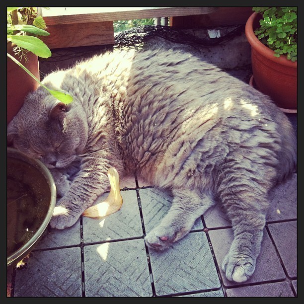 It’s warm…