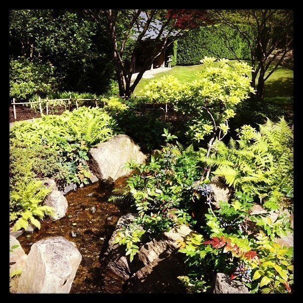 Japanese Garden