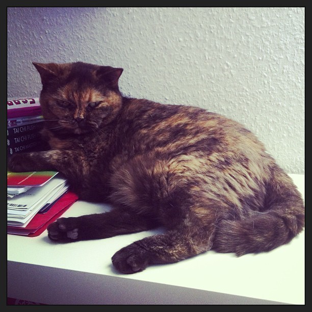 Missy.