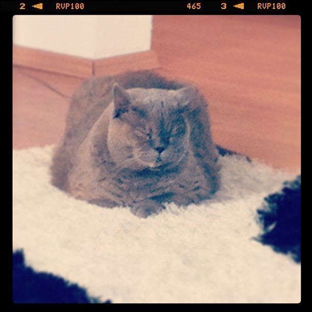 My teddy is back ;-)