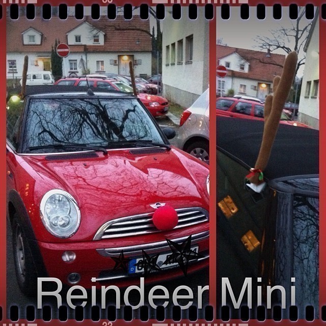 Not sure if you can see it on the picture: this #Mini has a red nose and reindeer antlers :)