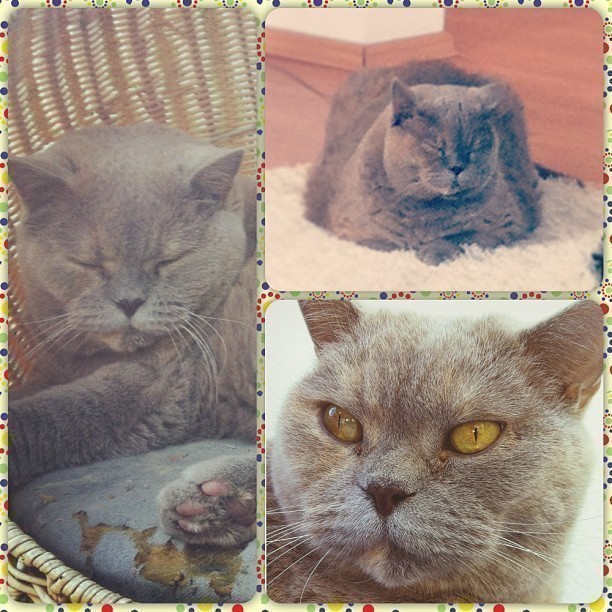Now playing with #FotorApp – what is your favourite  photo App?