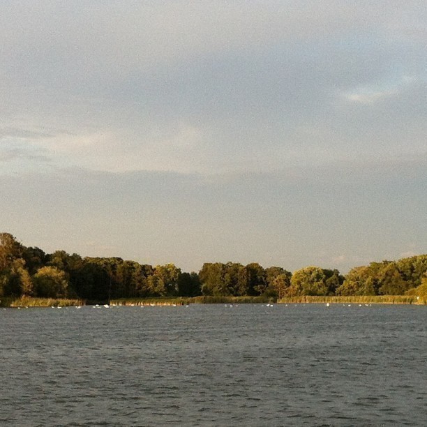 Pfaueninsel