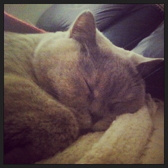 Sleeping tightly. #goodnight