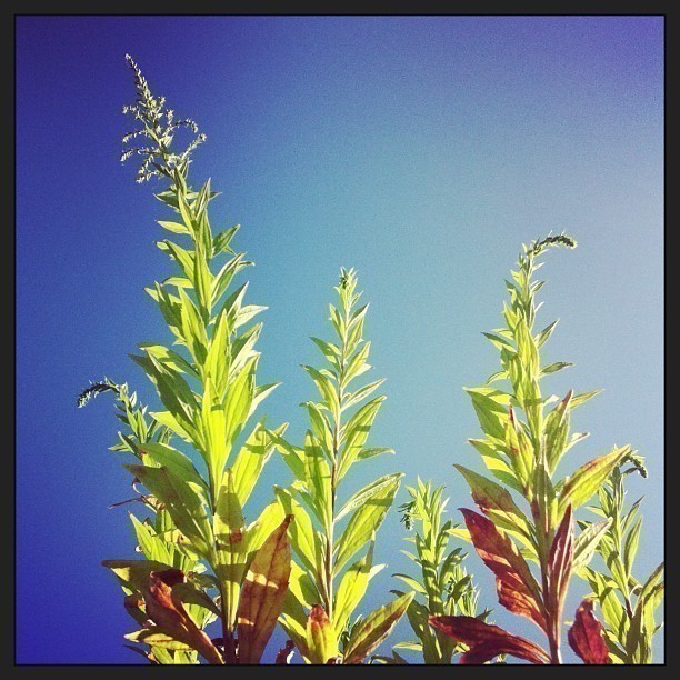Still beautiful blue sky :-)