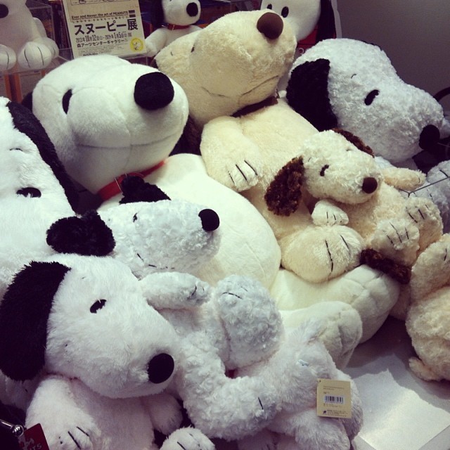 That’s what I wanna do: cuddle and sleep.