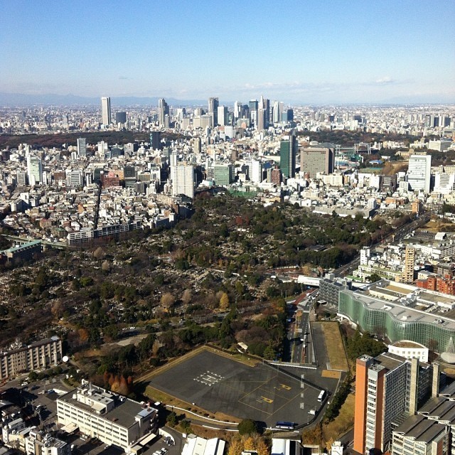 View at #Tokyo from high up.