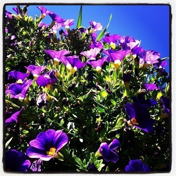 What a beautiful day!